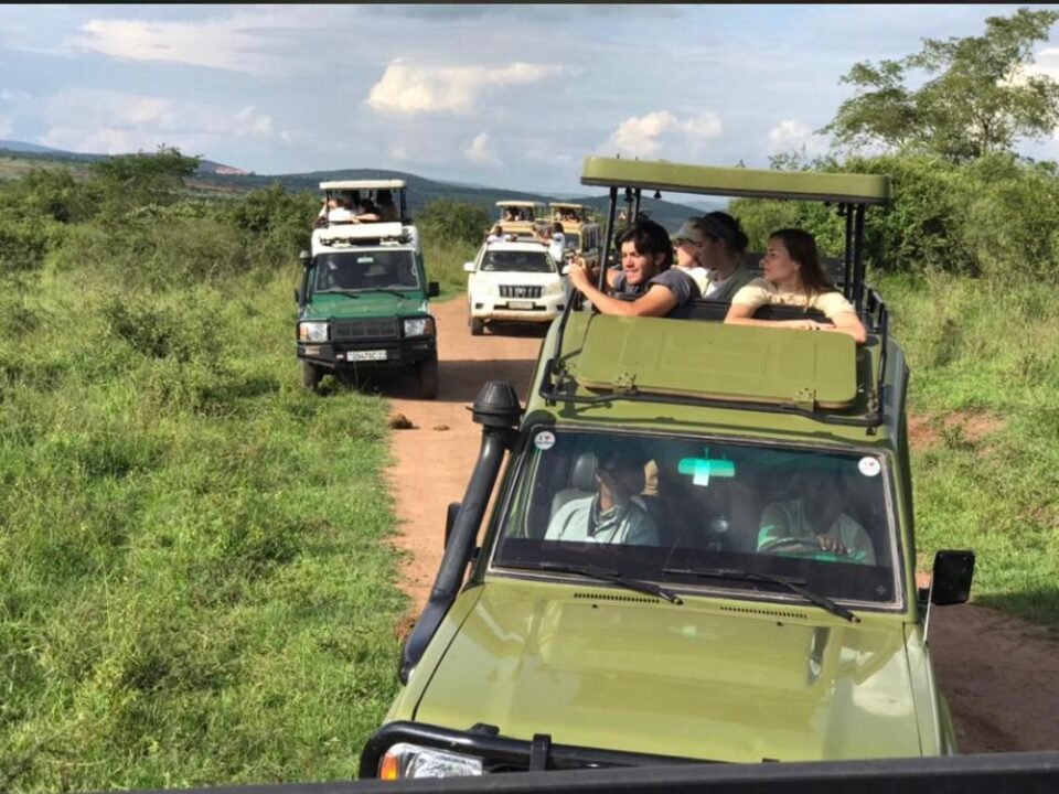 things-to-do-in-queen-elizabeth-national-park