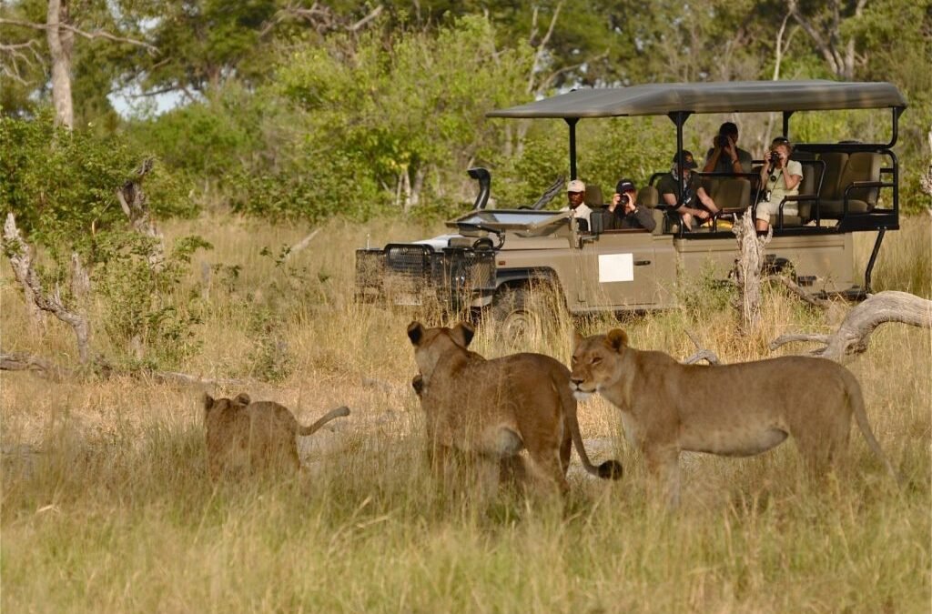 Murchison-falls-national-park-travel-guide