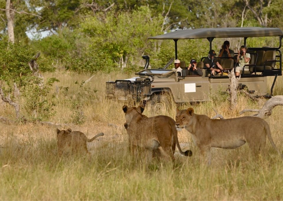 Murchison-falls-national-park-travel-guide