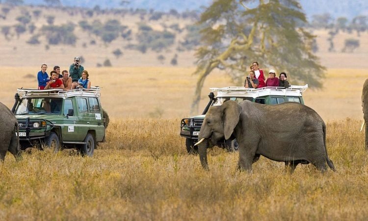 best-uganda-safaris-for-families