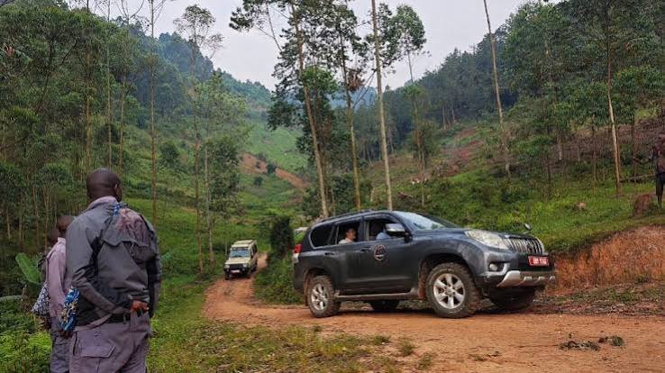 Private drive in Bwindi
