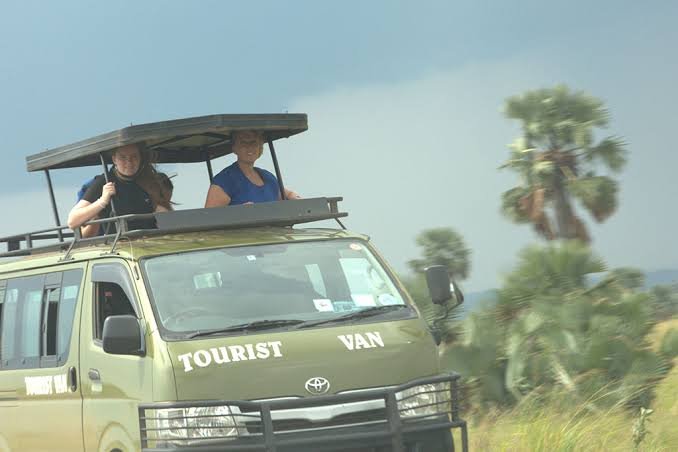 Tourists enjoying a game drive safari
